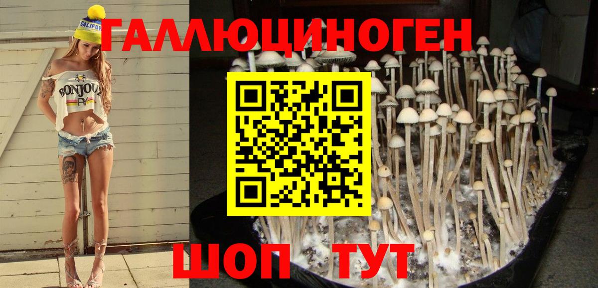 Галлюциногенные грибы Psilocybine cubensis  Вход с VPN  Чапаевск 